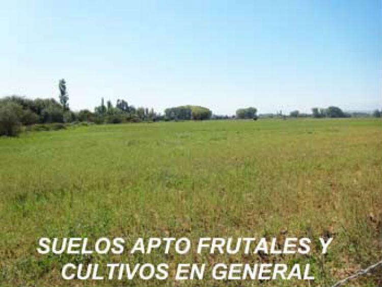 Foto Agricola en Venta en Longav, Linares - $ 100 - AGV43254 - BienesOnLine