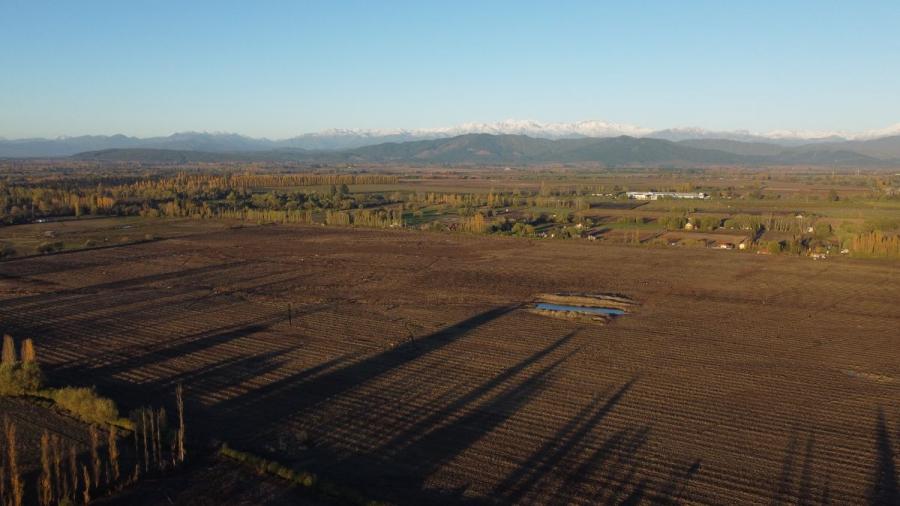 Foto Agricola en Venta en Longav, Linares - 55 hectareas - $ 1.650.000.000 - AGV129484 - BienesOnLine