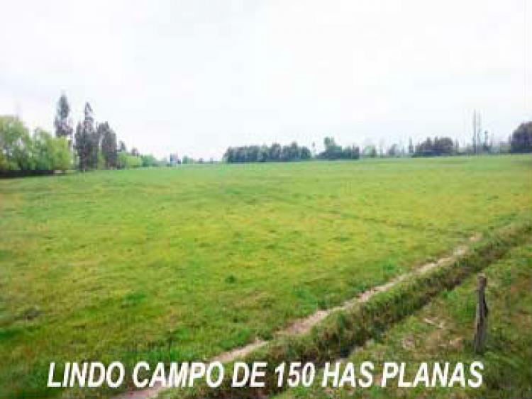 Foto Agricola en Venta en Parral, Linares - $ 100 - AGV43247 - BienesOnLine