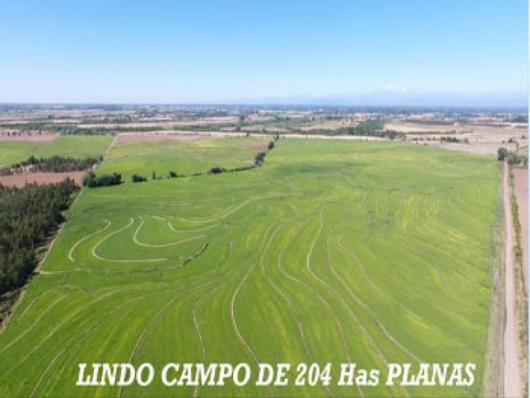 Foto Agricola en Arriendo en Parral, Linares - AGA63350 - BienesOnLine