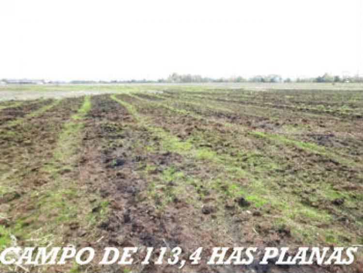 Foto Agricola en Venta en Pelarco, Talca - $ 100 - AGV47042 - BienesOnLine