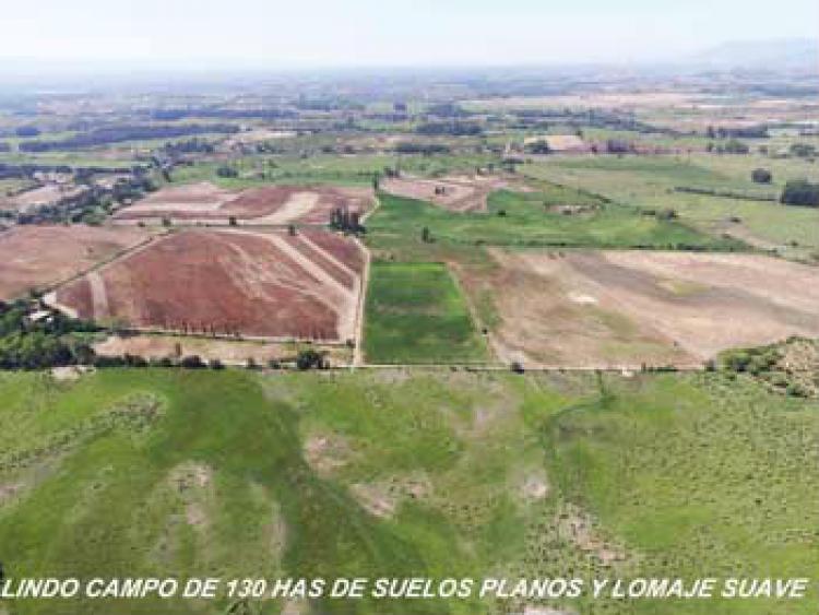 Foto Agricola en Venta en Pelarco, Talca - $ 100.000 - AGV55277 - BienesOnLine