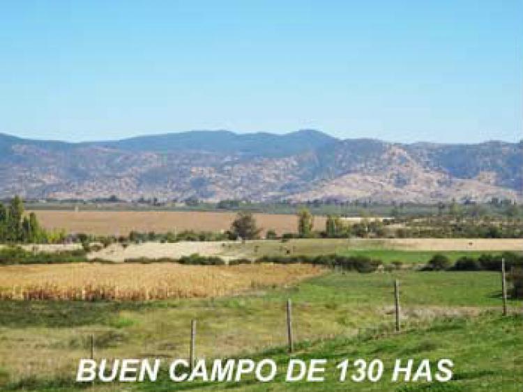 Foto Agricola en Venta en Pencahue, Talca - $ 100 - AGV43304 - BienesOnLine