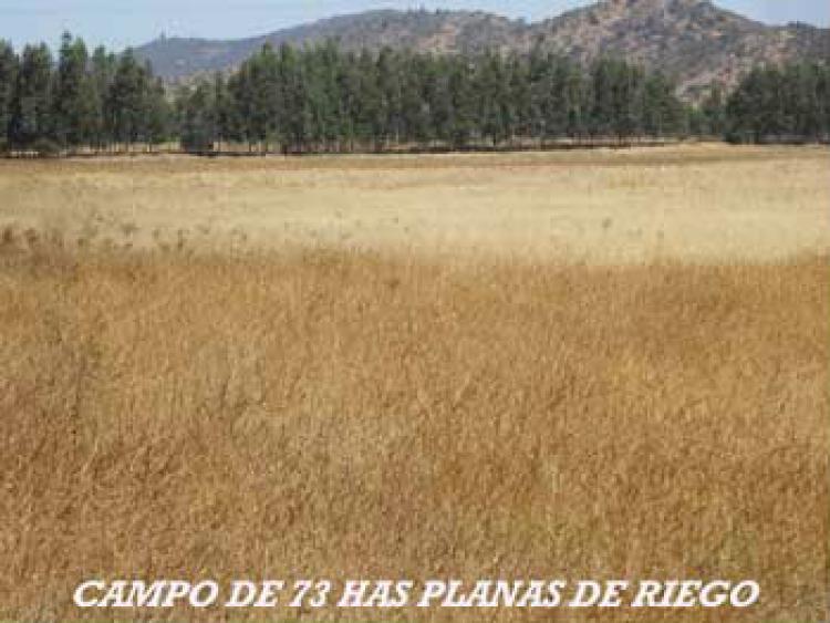 Foto Agricola en Venta en Peralillo, Colchagua - $ 100 - AGV45200 - BienesOnLine