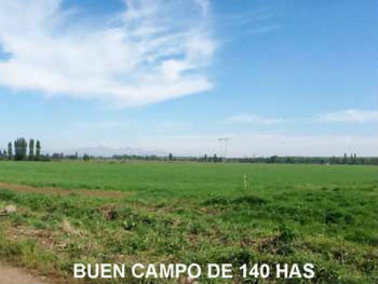 Foto Agricola en Venta en Retiro, Linares - $ 100 - AGV42315 - BienesOnLine