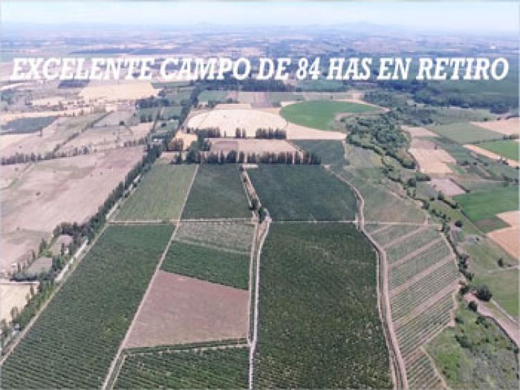 Foto Agricola en Venta en Retiro, Linares - $ 1.580.000.000 - AGV62422 - BienesOnLine