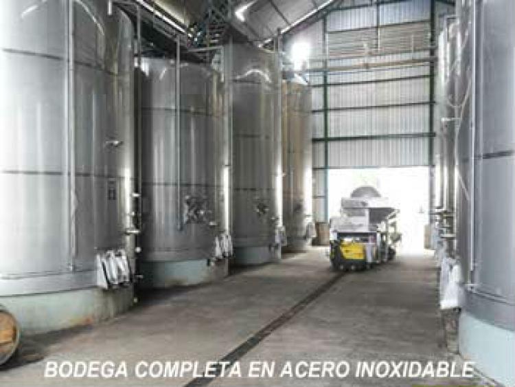 Foto Agricola en Venta en Sagrada Familia, Curic - $ 100 - AGV43244 - BienesOnLine