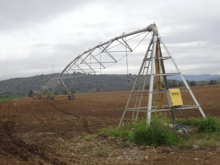 Foto Agricola en Venta en Villa Alegre, Linares - $ 12.500.000 - AGV63351 - BienesOnLine