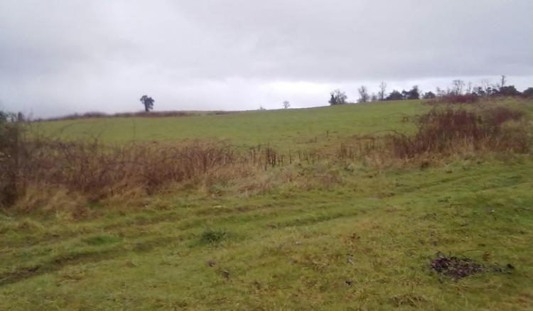 Foto Agricola en Venta en loncotoro, LLanquihue, Llanquihue - 80 hectareas - $ 280 - AGV18164 - BienesOnLine