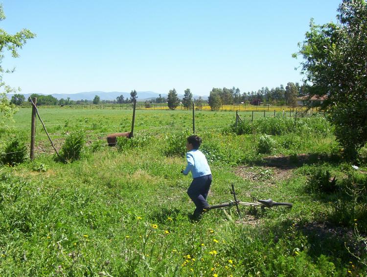 Foto Agricola en Venta en Entre Colin y camino Santa Rosa, Maule, Talca - $ 120.000.000 - AGV6063 - BienesOnLine