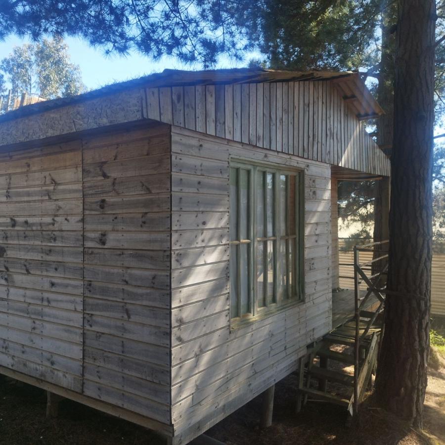 Home in Metric Way