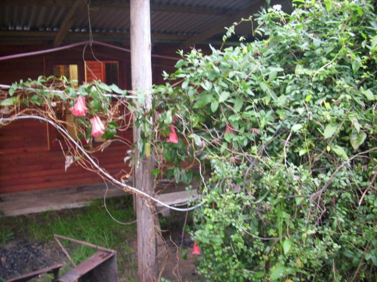 Foto Casa en Venta en sector los colihues, Los Lagos, Valdivia - $ 30.000.000 - CAV8823 - BienesOnLine