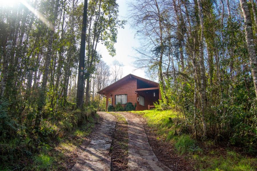 Foto Casa en Venta en Caburgua, Pucón, Cautin - $ 303.000.000 - CAV133645 - BienesOnLine