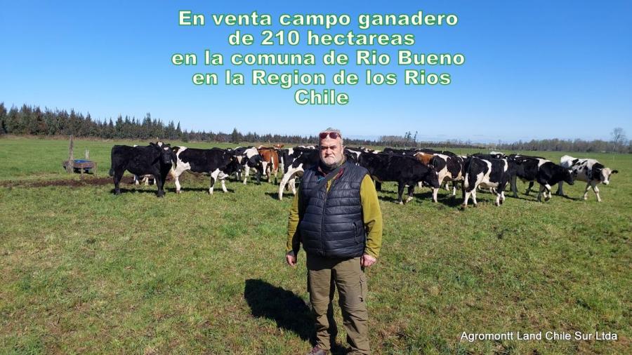 Foto Agricola en Venta en Chile, Puerto Montt, Llanquihue - AGV152674 - BienesOnLine