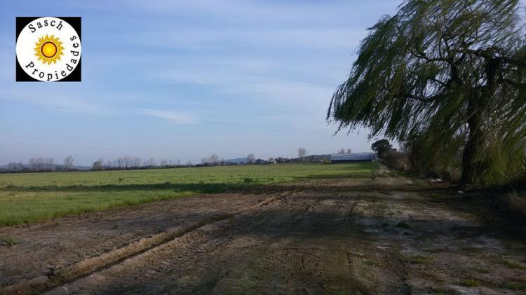 Foto Agricola en Venta en Constitucin, Talca - 46 hectareas - $ 495.000.000 - AGV39692 - BienesOnLine