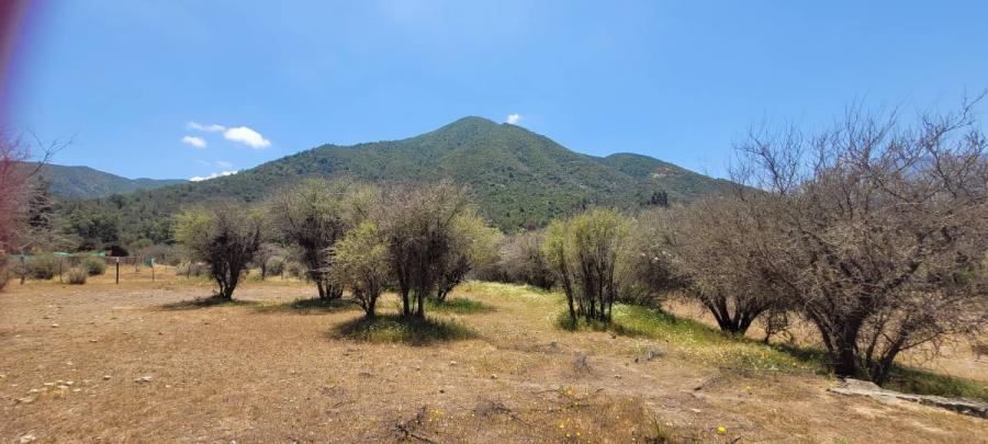 Foto Terreno en Venta en rural, coliguay, Valparaiso - 10 hectareas - $ 580.000.000 - TEV134566 - BienesOnLine