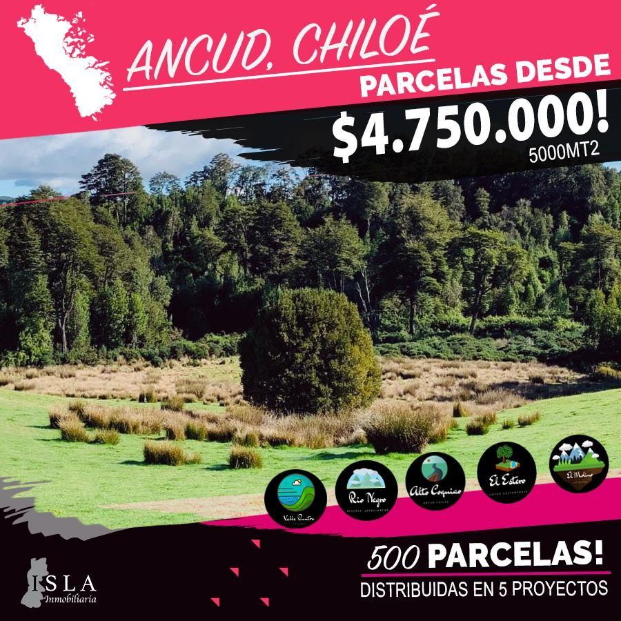 Foto Parcela en Venta en Ancud, Chiloe - $ 4.749.994 - PAV93947 - BienesOnLine