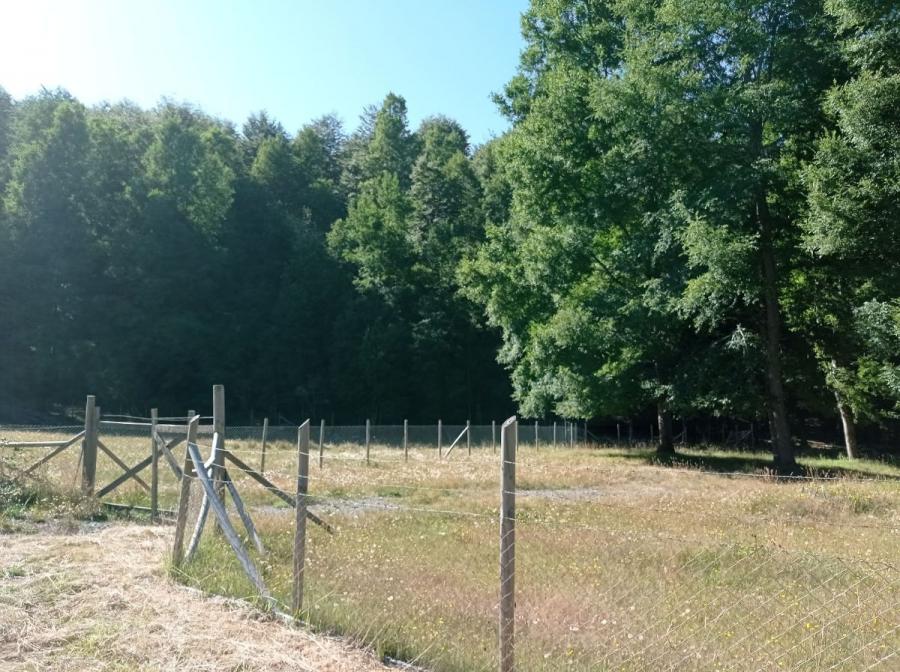 Foto Parcela en Venta en Caburgua, Pucón, Cautin - $ 50.000.000 - PAV131582 - BienesOnLine