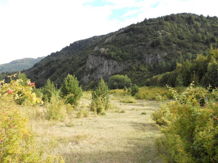 Foto Agricola en Venta en Ro Futaleuf, Futaleuf, Palena - U$D 150.000 - AGV20061 - BienesOnLine