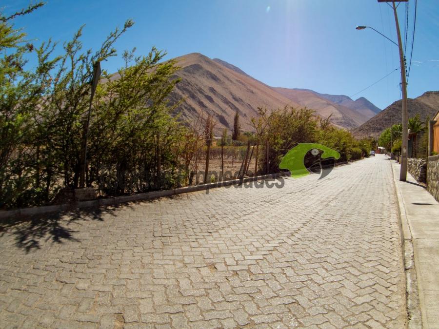 Foto Sitio en Venta en Valle del Elqui, Paiguano, Elqui - $ 45.000.000 - V148955 - BienesOnLine