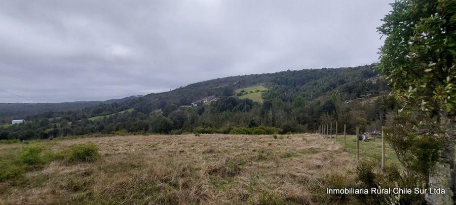Foto Parcela en Venta en Sector Miramar Bajo, Los Muermos, Llanquihue - 1 hectareas - $ 20.000.000 - PAV154064 - BienesOnLine
