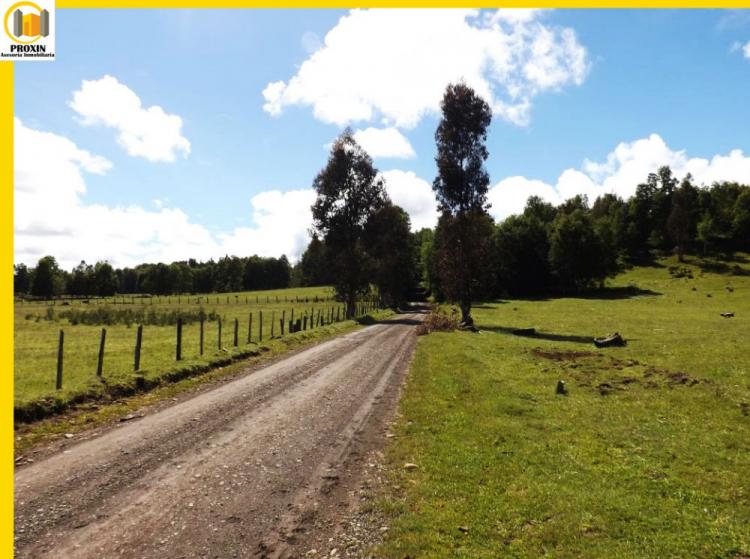 Foto Terreno en Venta en Villarrica, Cautin - $ 92.000.000 - TEV59806 - BienesOnLine