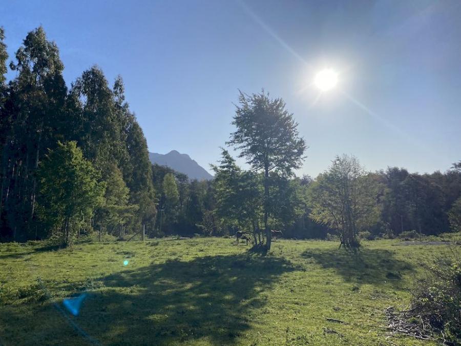 Foto Terreno en Venta en mariman, Pucón, Cautin - $ 90.000.000 - TEV146003 - BienesOnLine