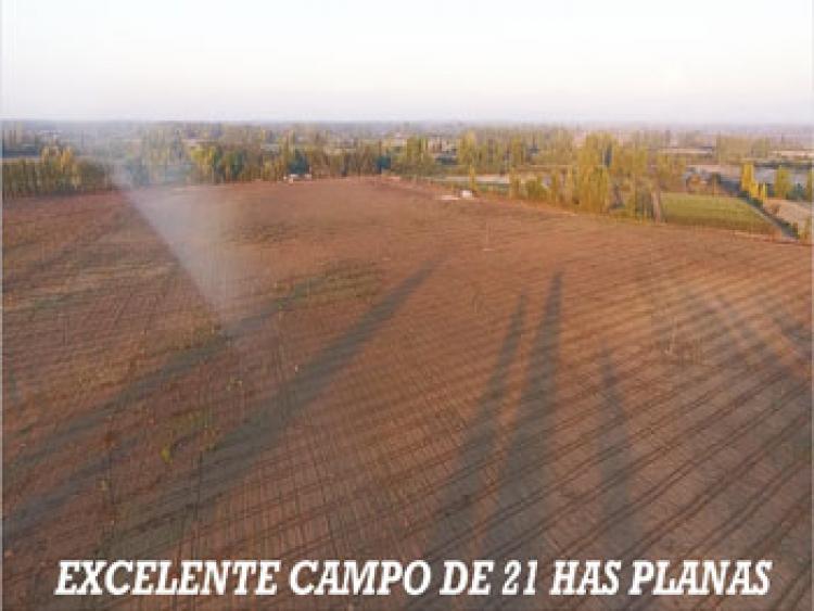 Foto Agricola en Venta en Retiro, Linares - $ 16.500.000 - AGV63342 - BienesOnLine