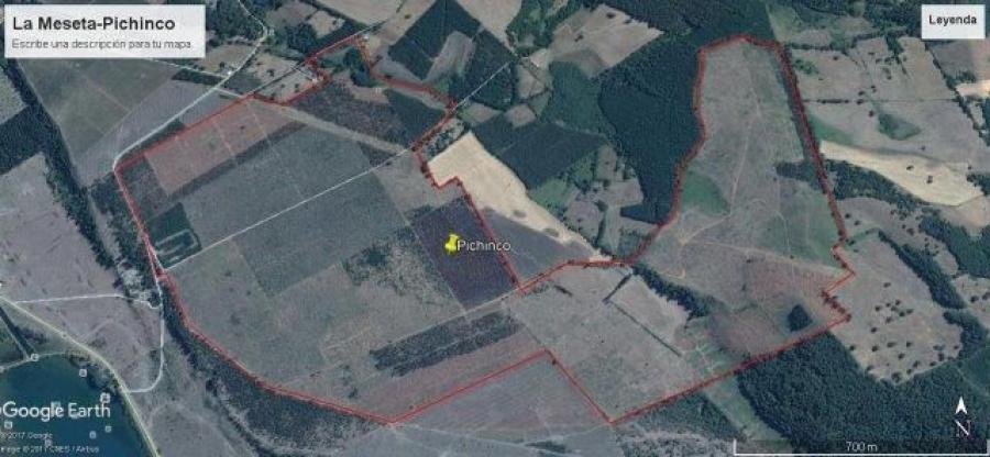 Foto Agricola en Venta en Pichaco Meseta Trupan, Biobio - 214 hectareas - $ 2.140.000.000 - AGV127389 - BienesOnLine