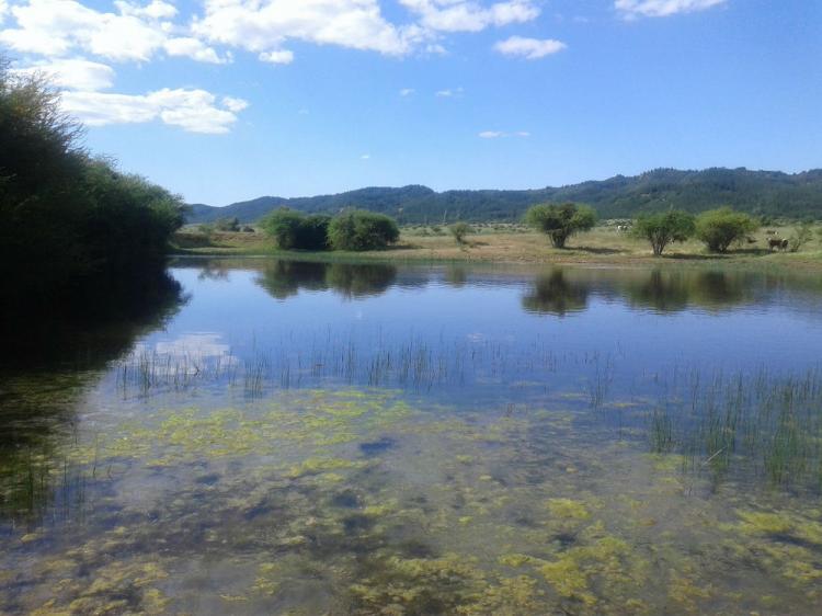Foto Parcela en Venta en Poblacin, Peralillo, Colchagua - 1 hectareas - $ 7.990.000 - PAV59050 - BienesOnLine