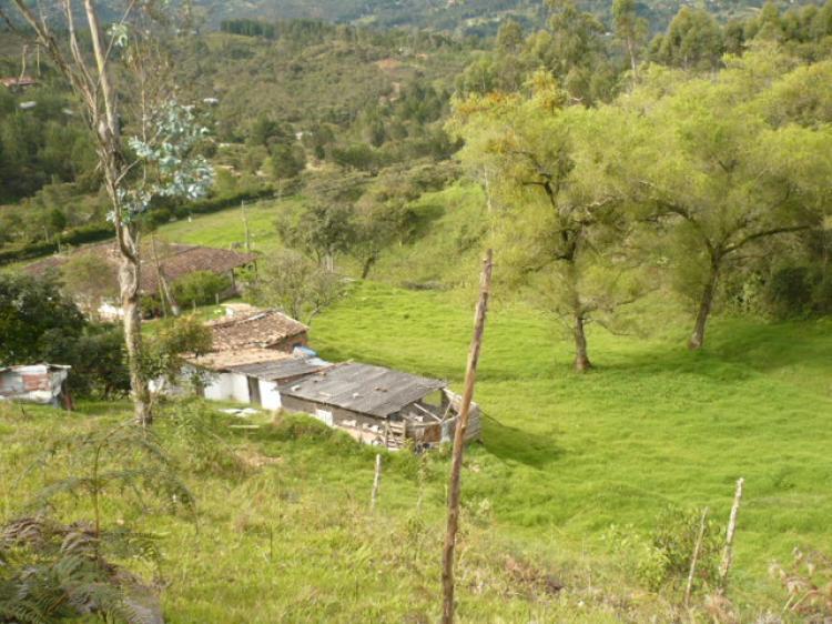 Foto Agricola en Venta en colombia-antioquia-guarne, Tocopilla, Tocopilla - AGV12755 - BienesOnLine