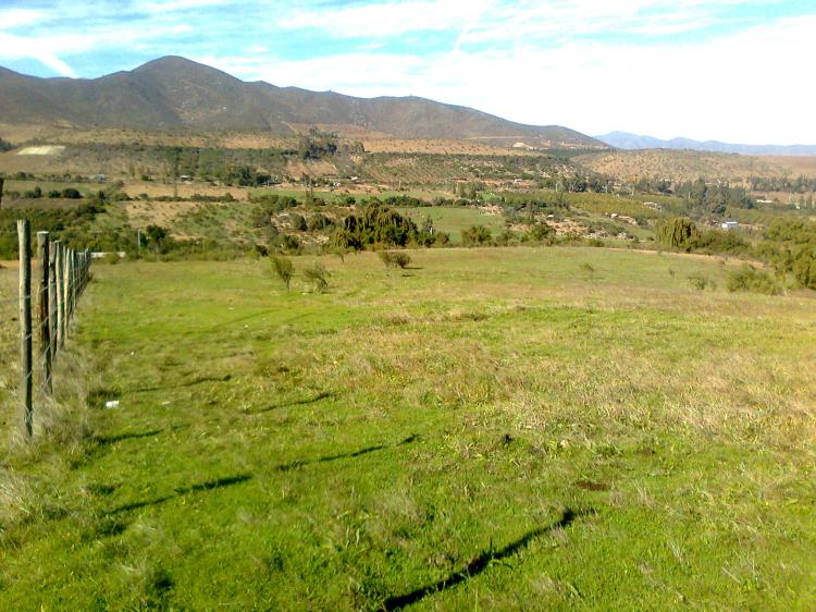 Foto Agricola en Venta en EL MAITEN, Illapel, Choapa - $ 47.200.000 - AGV15044 - BienesOnLine