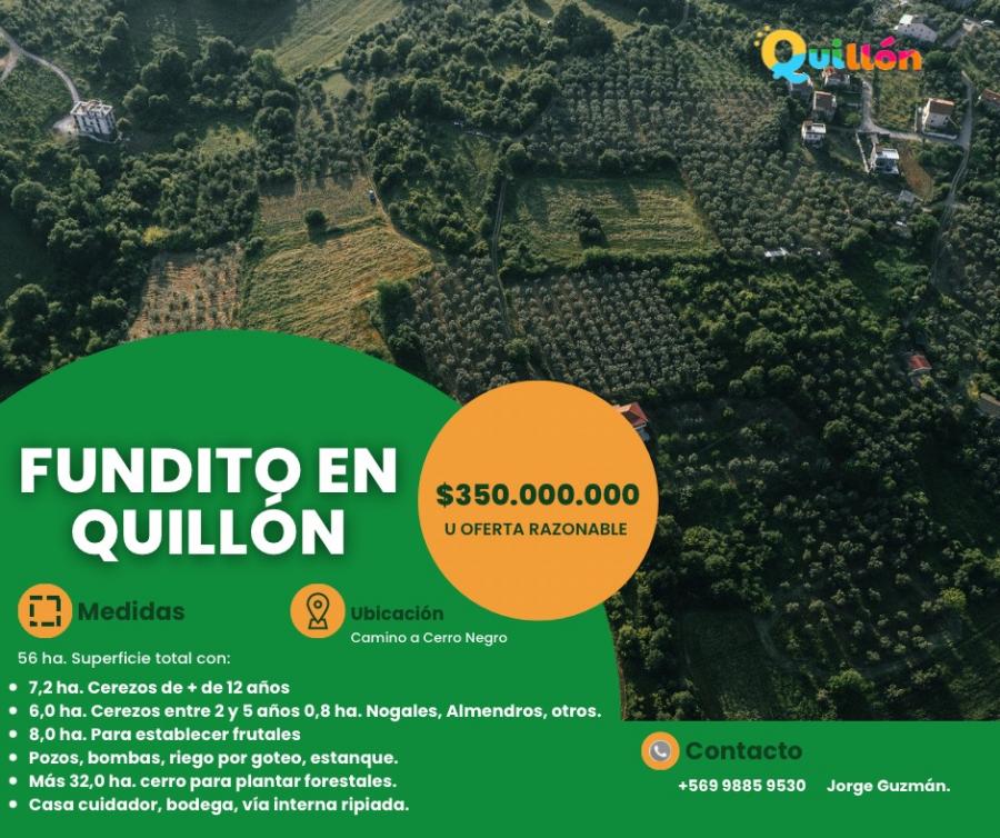 Foto Terreno en Venta en Quilln, uble - 56 hectareas - $ 350.000.000 - TEV146401 - BienesOnLine