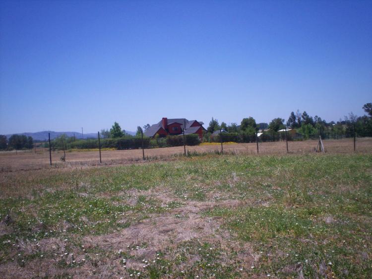Foto Terreno en Venta en Rural, Talca, Talca - 1 hectareas - $ 15.000.000 - TEV11135 - BienesOnLine