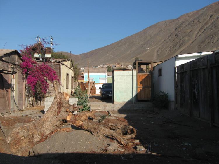 Foto Terreno en Venta en Taltal, Antofagasta - TEV5871 - BienesOnLine