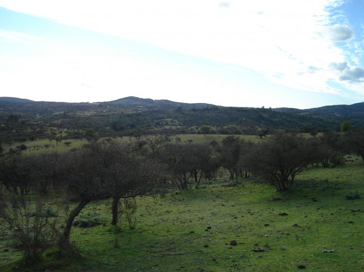 Foto Terreno en Venta en lamo del Nihue, San Pedro, Melipilla - 16 hectareas - $ 104.000.000 - TEV47459 - BienesOnLine