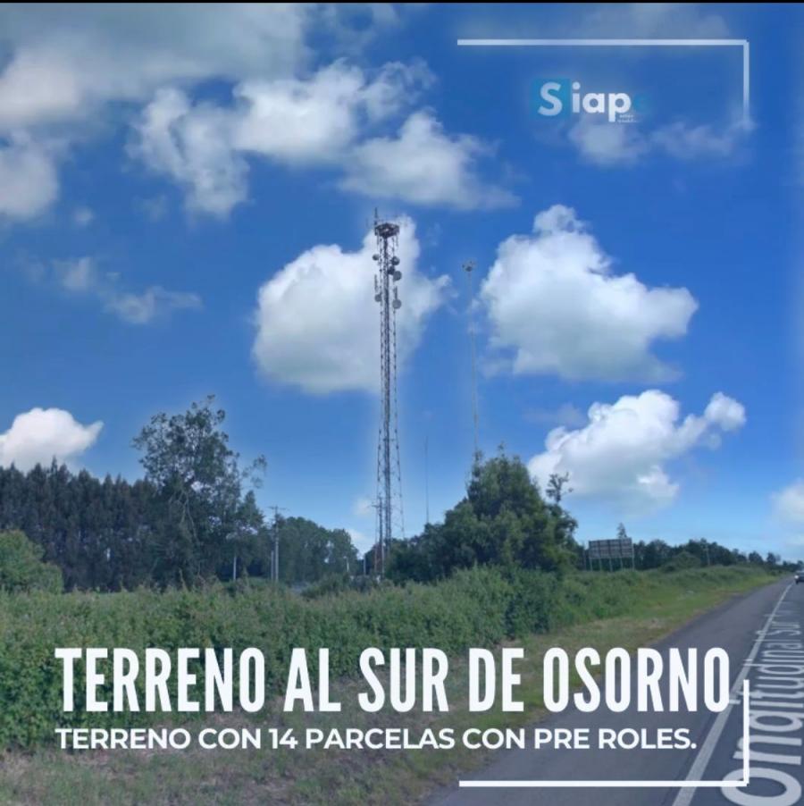 Foto Terreno en Venta en Osorno, Osorno - $ 400.000.000 - TEV102961 - BienesOnLine
