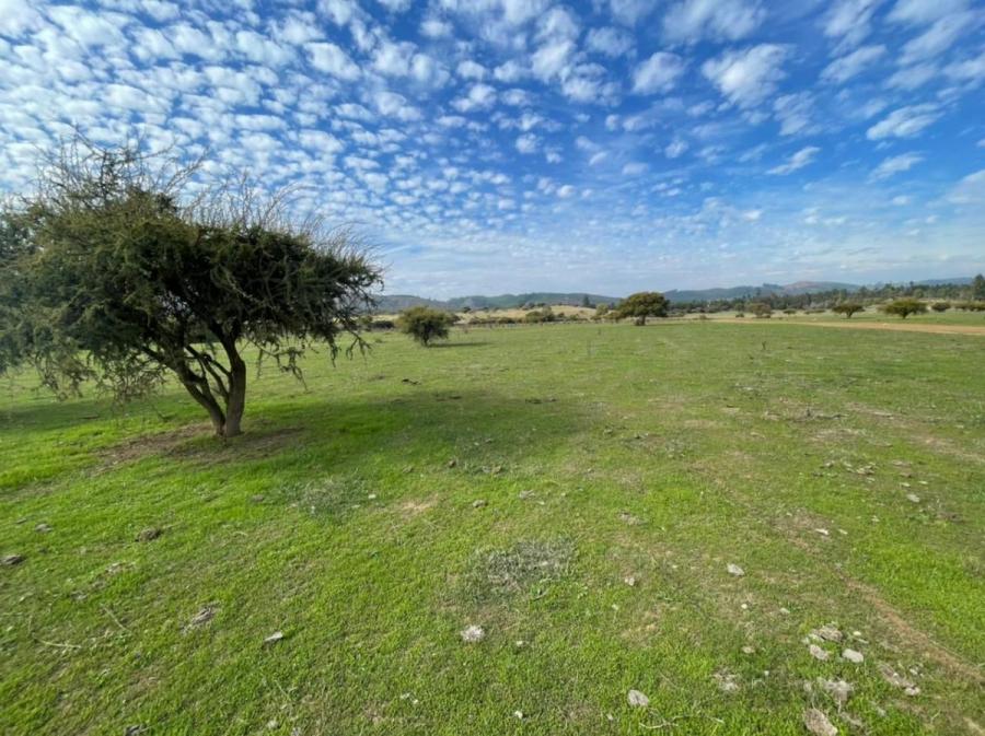 Foto Parcela en Venta en La Estrella, Cardenal Caro - $ 19.990.000 - PAV140792 - BienesOnLine