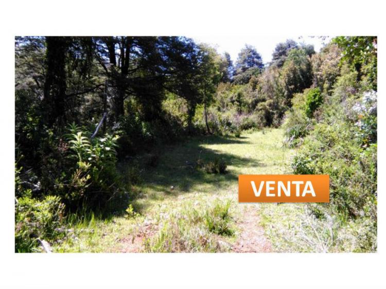 Foto Parcela en Venta en Valdivia, Valdivia - 30 hectareas - $ 75.000.000 - PAV40670 - BienesOnLine