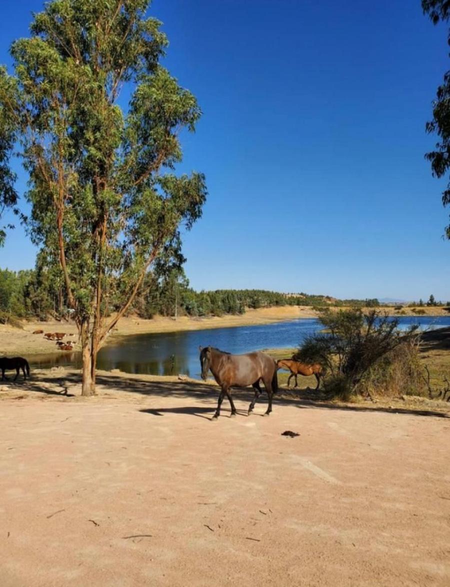 Foto Terreno en Venta en La Estrella, Cardenal Caro - $ 15.990.000 - TEV143089 - BienesOnLine