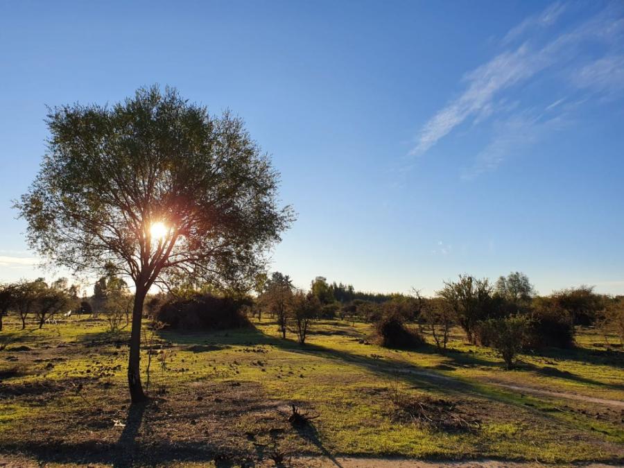 Parcela en Venta en Litueche, Cardenal Caro