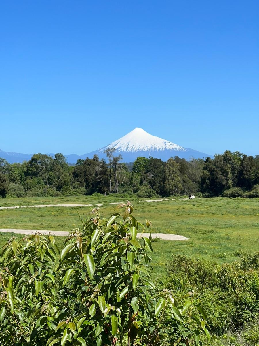 Foto Parcela en Venta en Puyehue, Osorno - $ 24.990.000 - PAV134885 - BienesOnLine