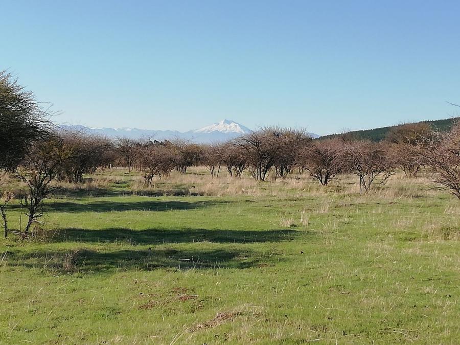 Foto Parcela en Venta en Valle de Torren, comuna Retiro sptima Regin del Maule, Talca - $ 7.900.000 - PAV101764 - BienesOnLine