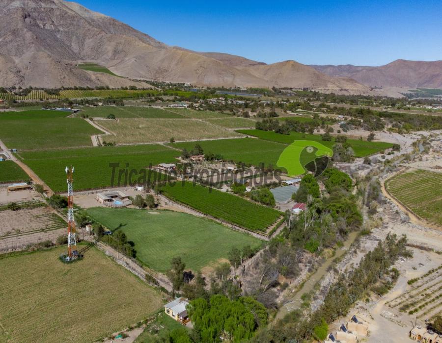 Foto Terreno en Venta en Valle del Elqui, Peralillo, Elqui - $ 265.000.000 - TEV145588 - BienesOnLine