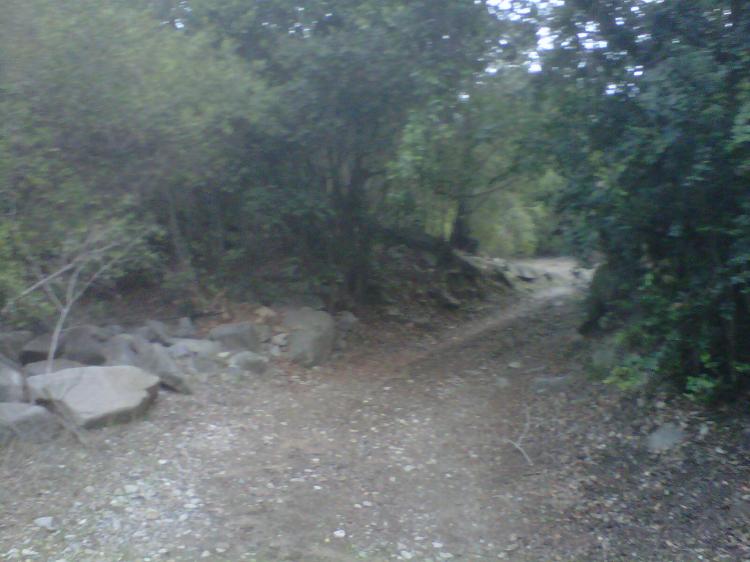 Home in Metric Way