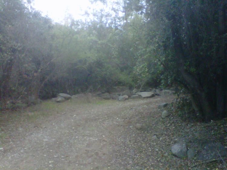 Home in Metric Way