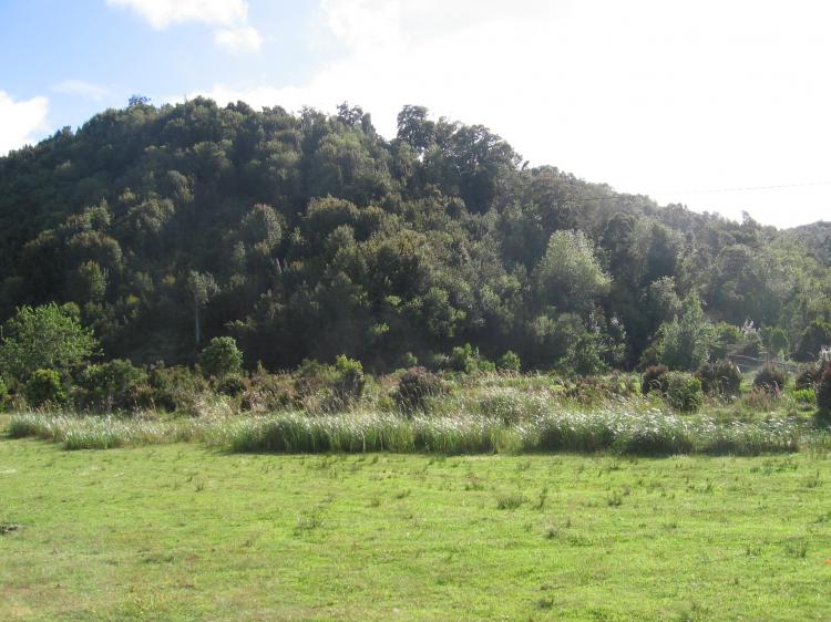 Foto Terreno en Venta en Quemchi, Chiloe - $ 5.000 - TEV13738 - BienesOnLine