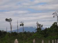 Terreno en Venta en Chamiza Puerto Montt