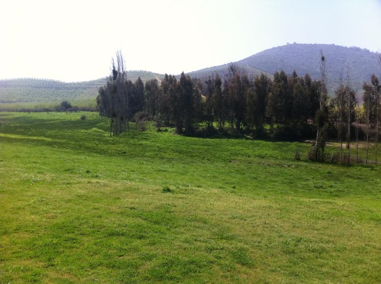 Foto Agricola en Venta en san Manuel, Melipilla, Melipilla - 4 hectareas - $ 75.000.000 - AGV11831 - BienesOnLine