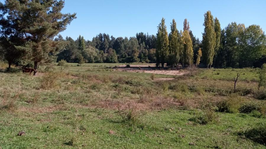 Foto Agricola en Venta en Quinamvida, Linares - 2 hectareas - $ 74.000.000 - AGV139826 - BienesOnLine